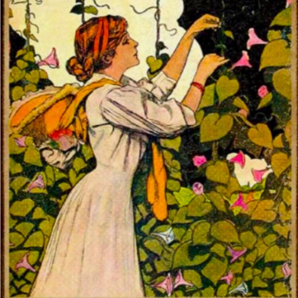 Meet your Posher, Aimee